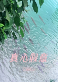 真心假意句子